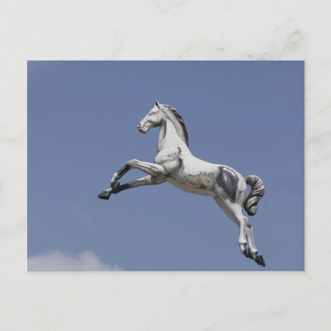 Karusellhäst Vykort (Framsida)