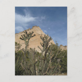 Kasha-Katuwe Tält Sten nationalmonument Vykort