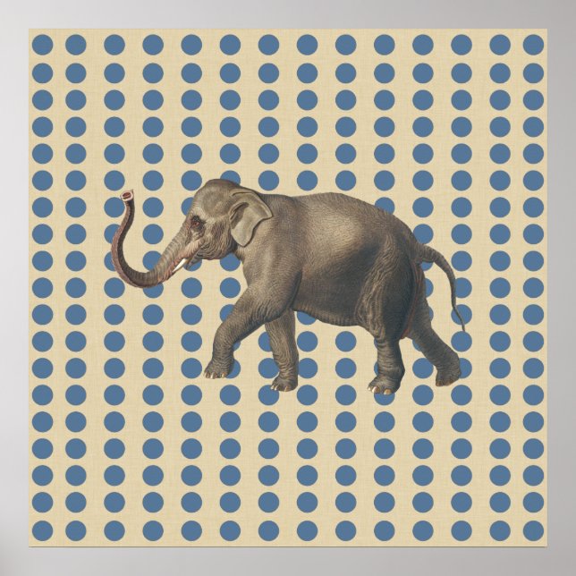 Kashmir Blue Spice Moods Dots med Elephant Poster (Framsidan)