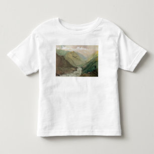 Kashmir c.1860 t shirt