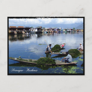 Kashmir, Srinagar - Dal Sjö / India helgdag Vykort