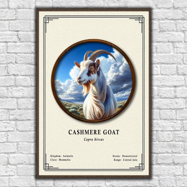 Kashmirget Zoologi Serie Poster (Skapare uppladdad)