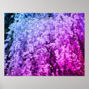 Kaskad av Vår blommiga Blommar, tonade Poster