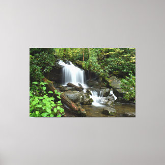 Kaskad i Smoky Mountain National Park Canvastryck