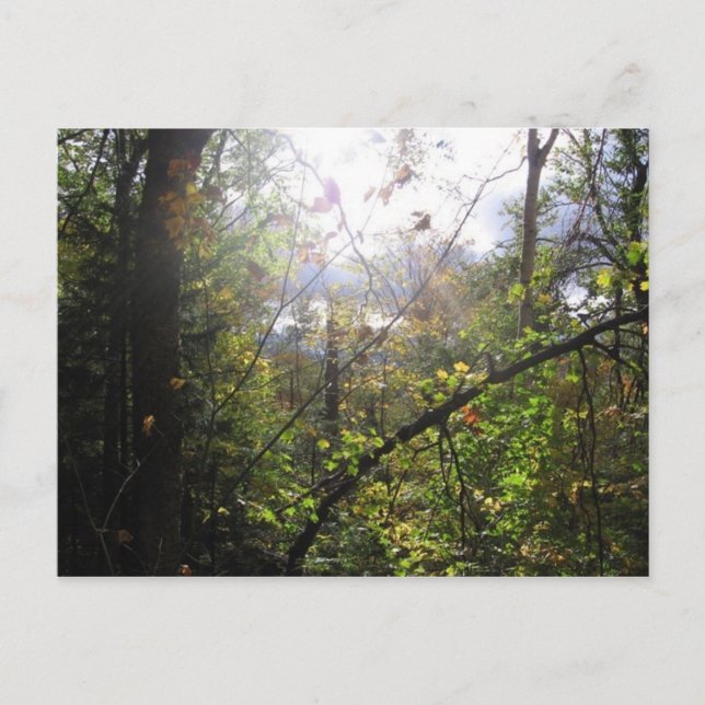 kaskadberg vykort (Framsida)