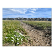 Kasper Mountain Seasons - Vår Phlox - Casper WY