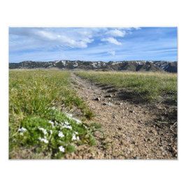 Kasper Mountain Seasons - Vår Phlox - Casper WY Fototryck