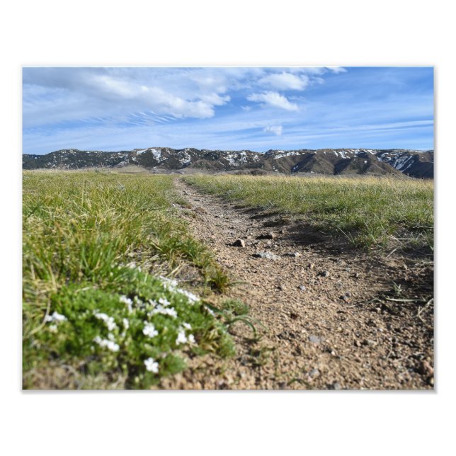 Kasper Mountain Seasons - Vår Phlox - Casper WY Fototryck (Framsidan)