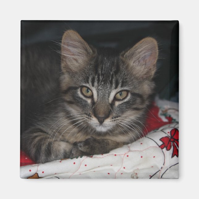 Kaspiska Mysiga julgranen Magnet (Framsidan)