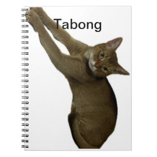 Kassaanteckningar Anteckningsbok