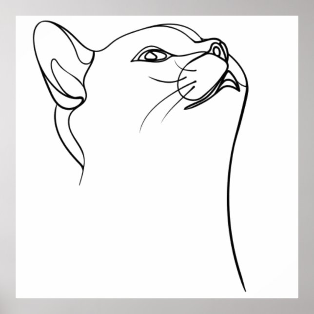 Kassabild Poster (Framsidan)