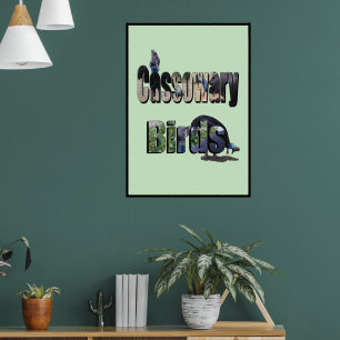 Kassafåglar Bild Namn, Poster