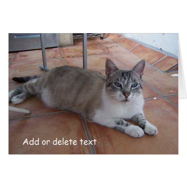 Kassafoto för hälsningskort (Framsidan Horizontal)