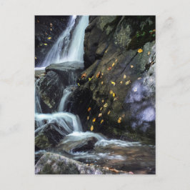 Kassafyllningar Vykort