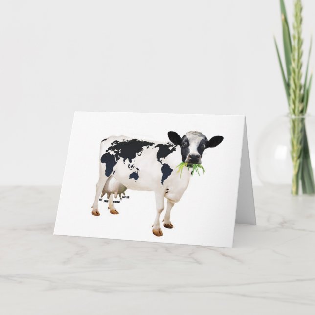 Kassako Kort (Framsida)