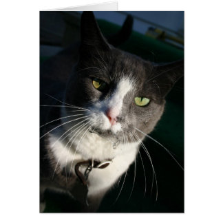 Kassakort Hälsningskort