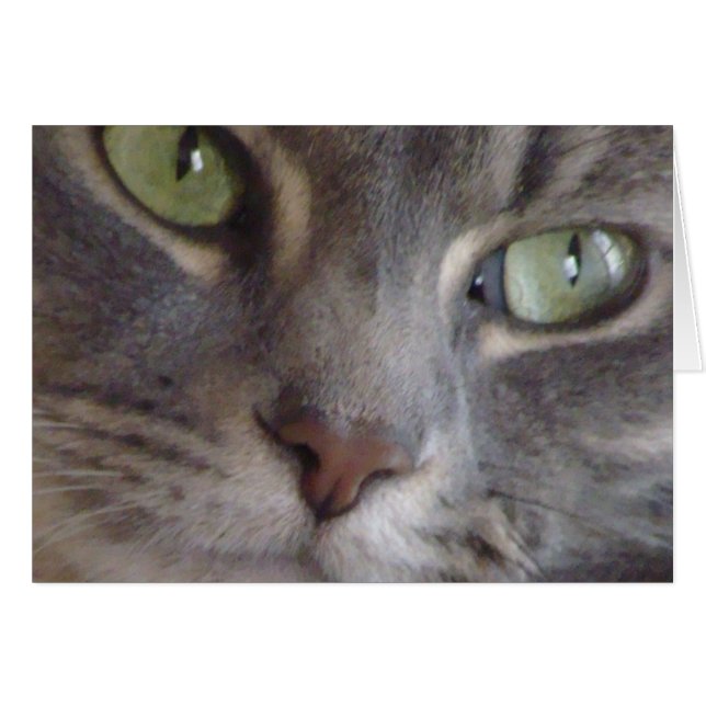 Kassakort OBS Kort (Framsidan Horizontal)