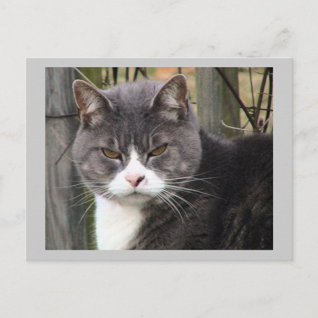 Kassakort Vykort (Framsida)