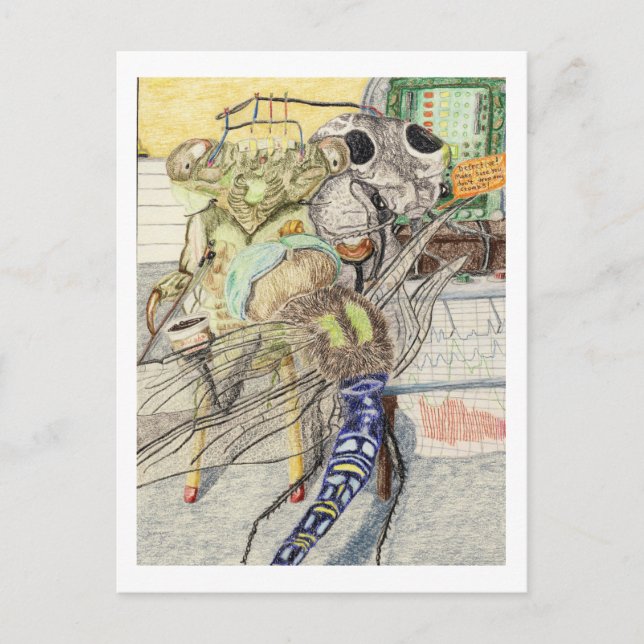 Kassandra Cicada har ett test för att upptäcka Lju Vykort (Framsida)