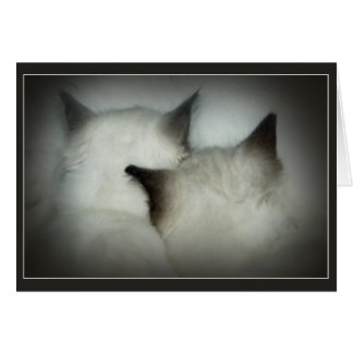 kassaskåp & ljud hälsningskort