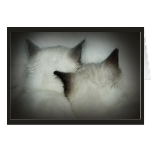 kassaskåp & ljud hälsningskort (Framsidan Horizontal)