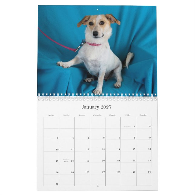 Kassaskåpet räcker kalender 2015 (Jan 2027)