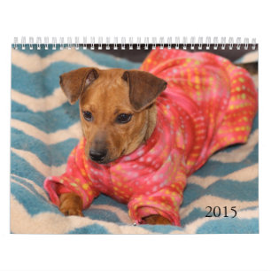 Kassaskåpet räcker kalender 2015