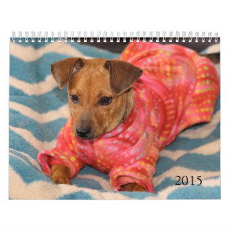 Kassaskåpet räcker kalender 2015