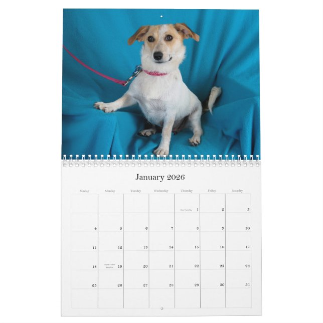 Kassaskåpet räcker kalender 2015 (Jan 2026)