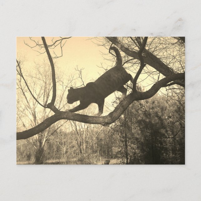 Kassavykort Vykort (Framsida)