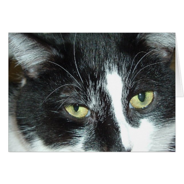 Kassett för popkonst hälsningskort (Framsidan Horizontal)