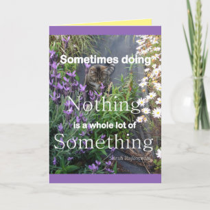 Kassetter för tabby katt och flödor för matning av kort