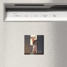 Kassettmagnet Magnet