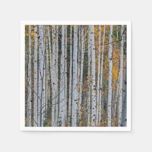 Kasta Aspen under hösten Pappersservett