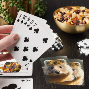 Kasta Ginger Quokka, deka för uppspelningskort Casinokort
