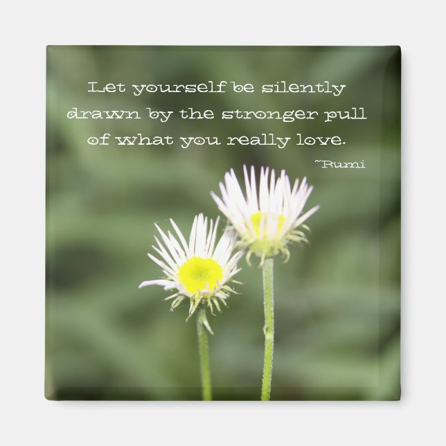 Kastad magnet (Framsidan)