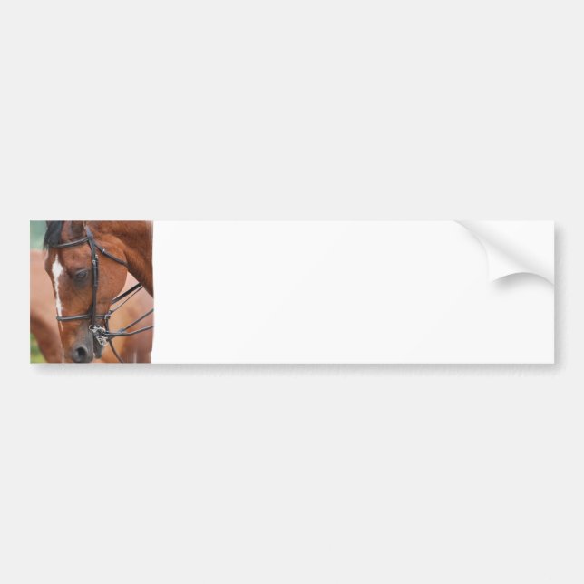 Kastanjebrun Equine bildekal (Framsidan)