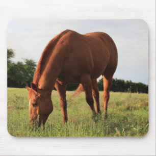 Kastanjebrun häst Mousepad Musmatta