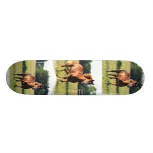 Kastanjebrun hästSkateboard Skateboard Bräda 21,5 Cm