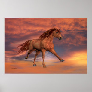 Kastanjebrun hingst poster
