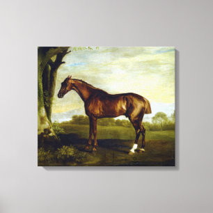 Kastanjehäst i ett liggande (George Stubbs) Canvastryck