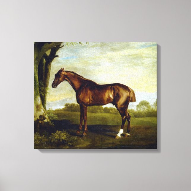 Kastanjehäst i ett liggande (George Stubbs) Canvastryck (Framsida)