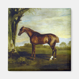 Kastanjehäst i ett liggande (George Stubbs) Magnet