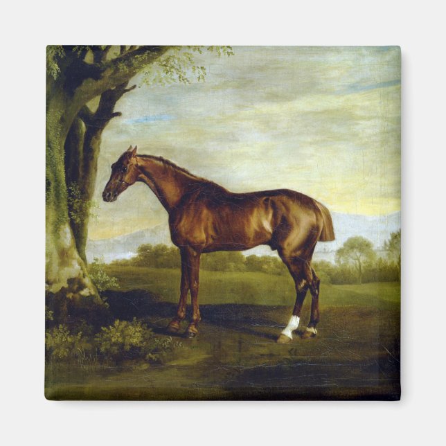Kastanjehäst i ett liggande (George Stubbs) Magnet (Framsidan)