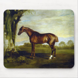 Kastanjehäst i ett liggande (George Stubbs) Musmatta