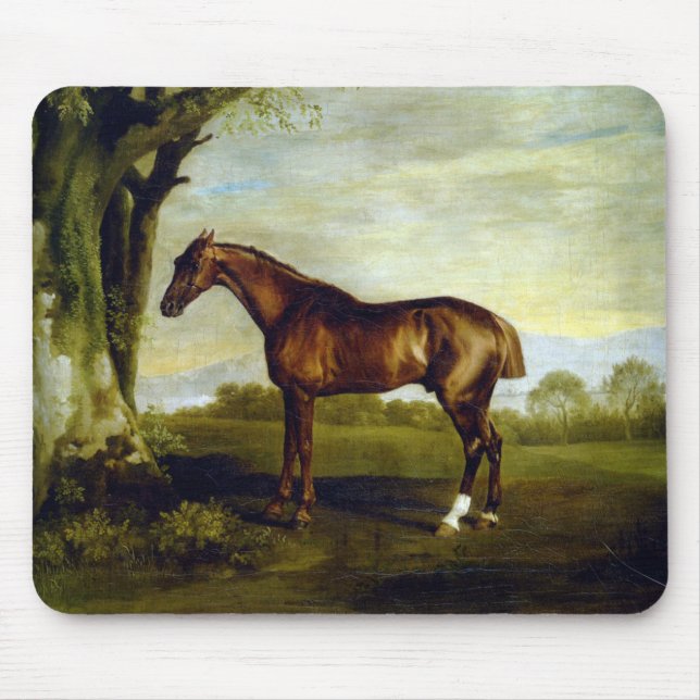 Kastanjehäst i ett liggande (George Stubbs) Musmatta (Framsidan)