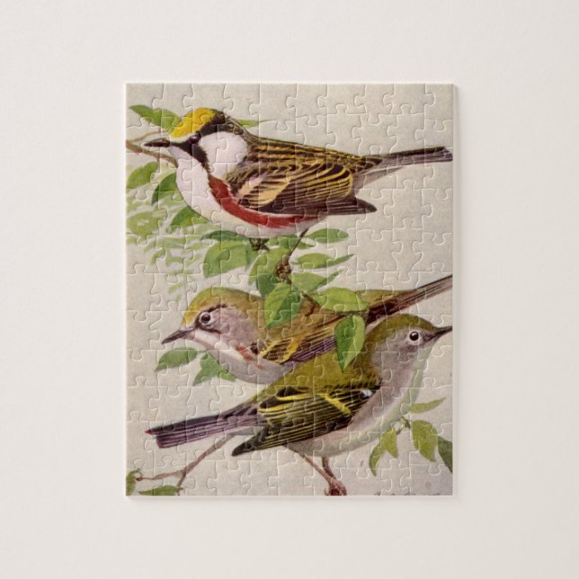 Kastanjesid Warbler av Louis Agassiz Fuertes Pussel (Vertikal)