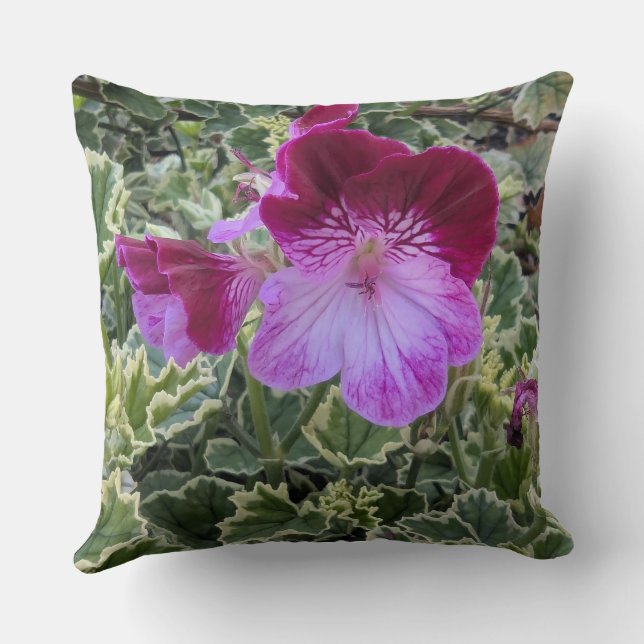 Kastkudde-Blommig serie Geranium-Kast Kudde (Baksida)