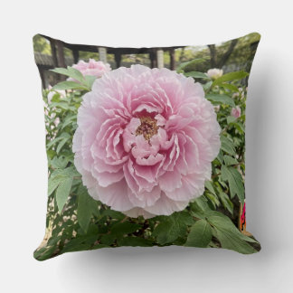 Kastkudde-Blommig serie Peony-Kudde Kudde