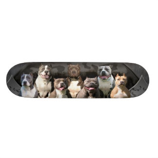 Kastlös person - Pitbull mästareserie Skateboard Bräda 21,5 Cm